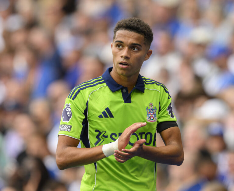 Fulham midfielder Josh King