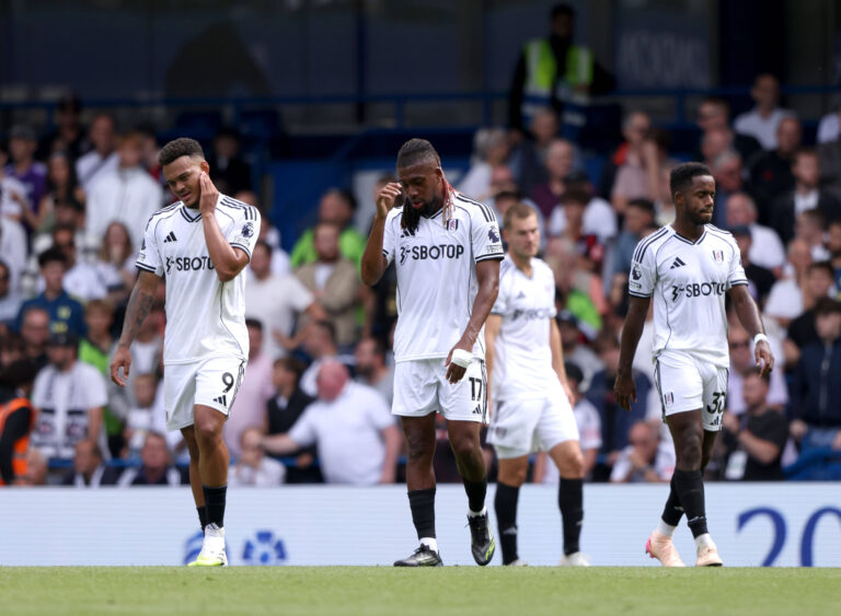 Fulham players